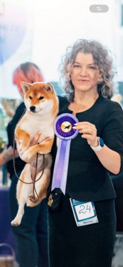 picture of dog