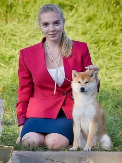 picture of dog