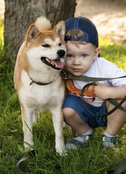 picture of dog
