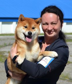 picture of dog