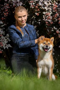 picture of dog