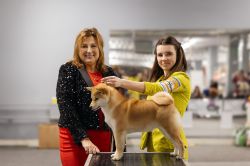 picture of dog