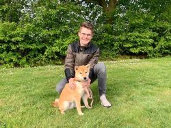 picture of dog