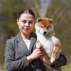 picture of dog