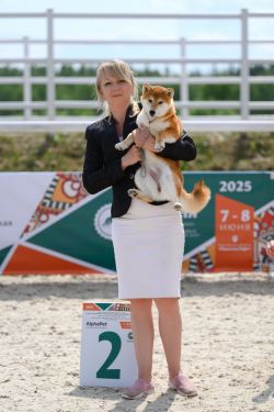 picture of dog